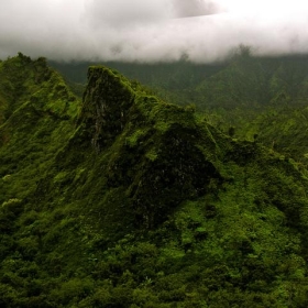 Island Interior & Rainforest - Teddybear Junction