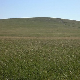 Mongolia - Wolfiewolf