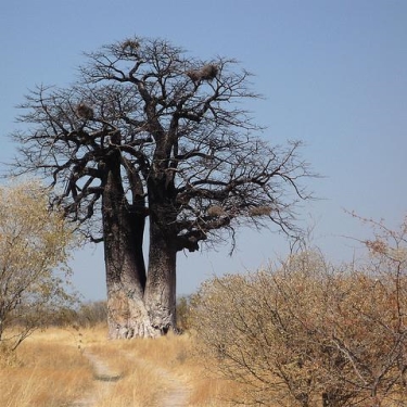 Namibia