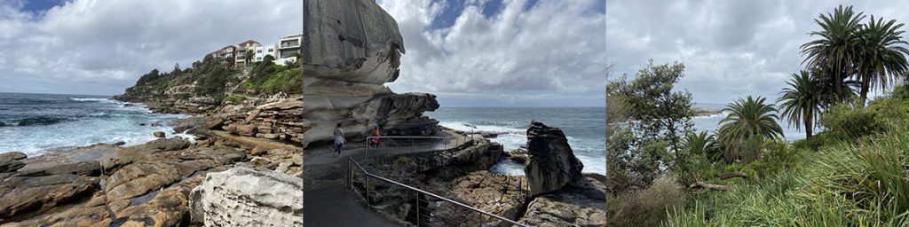 Bondi Coogee Walk