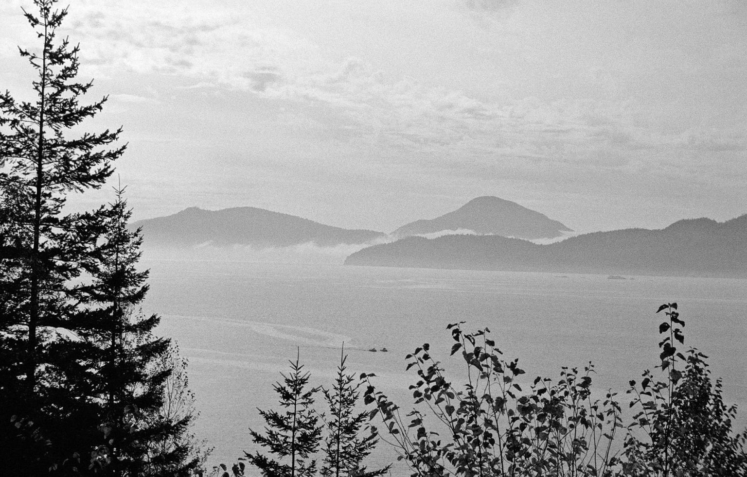 Whistler