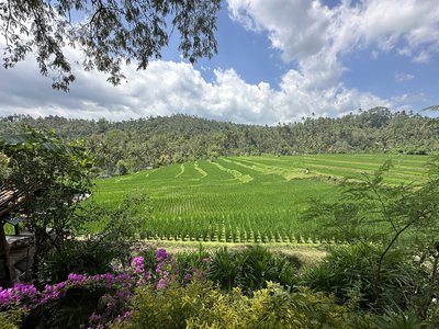 Bali