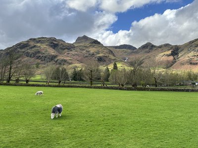 Langdale